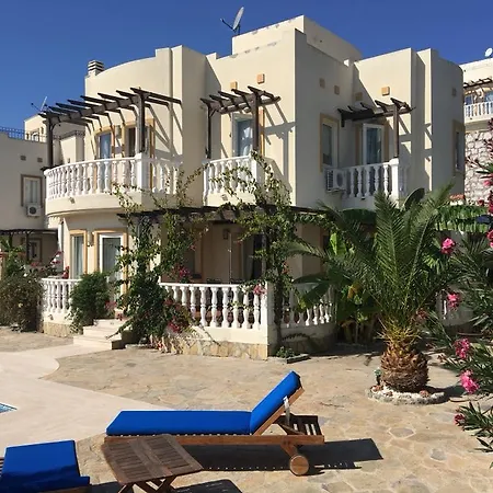 Villa Bodrum Turquoise 3 1 With Private Pool